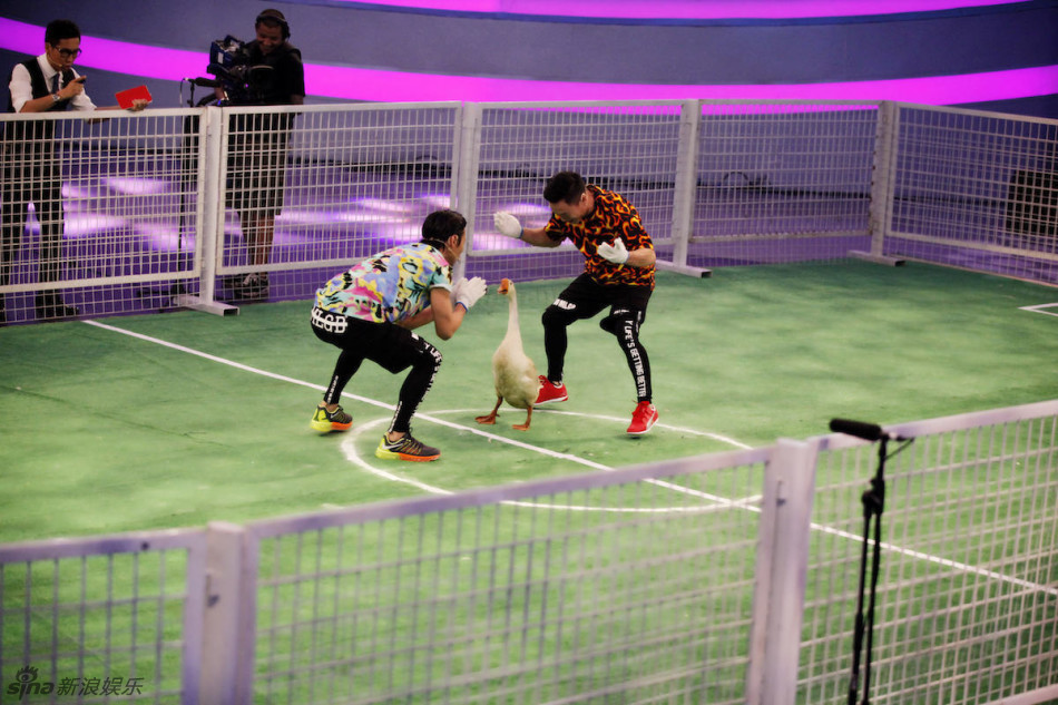 组图：《为她》陆毅骑大黄蜂射箭 张晋杨威赶鹅