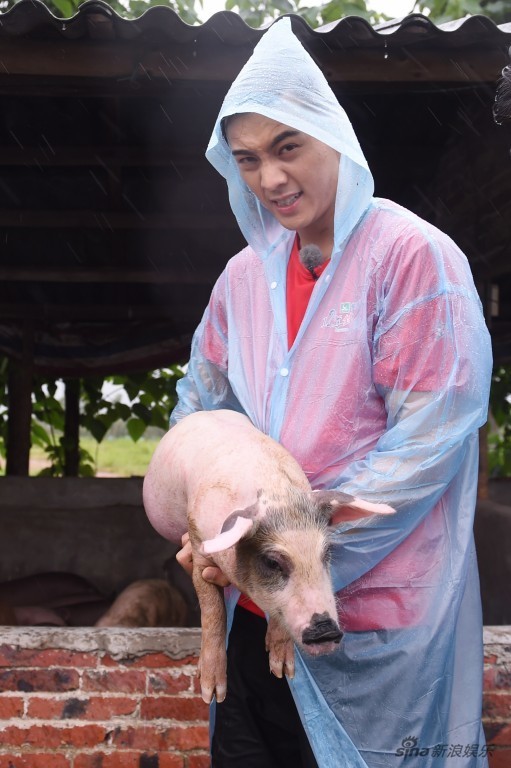 组图：《锋味》陈伟霆冒雨寻八戒 霆锋打咏春拳