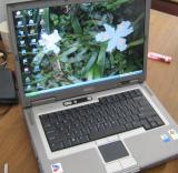  Latitude D810