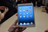ƻ�� iPad Mini