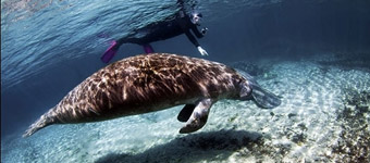 ʮ���λú���̽��֮��