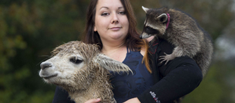 ӢŮ�Ӽ���70ֻ���������ܻƽ�����������