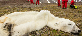 �����ů�±������޴���ʳ������ʬ������ë̺