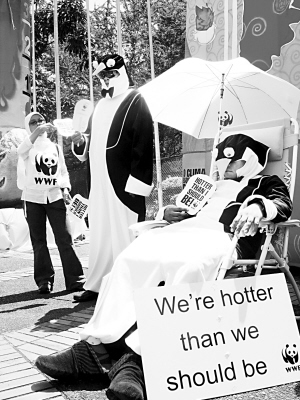 180国会商巴厘岛路线图