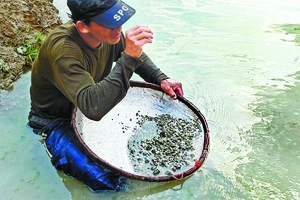 美国燃起新淘金热