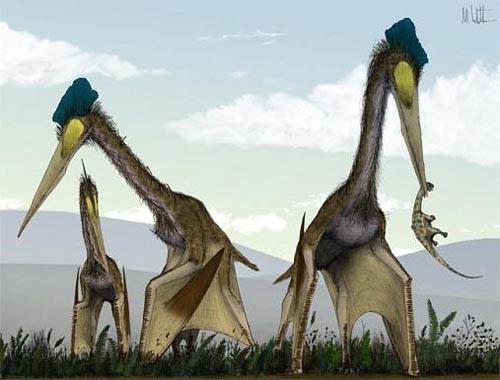 2.3亿前巨型翼龙以霸王龙为食(组图)