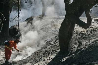 美国加州遭遇46℃高温袭击(图)