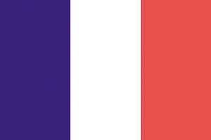 法国竖条三色旗++俄罗斯国旗