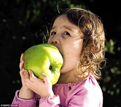 超级大苹果比女孩脑袋大