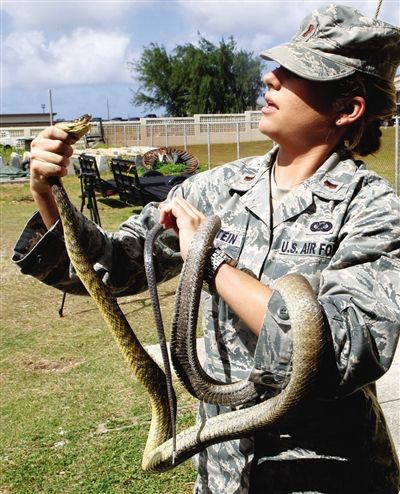 5日，关岛，美军女兵手拿褐树蛇。