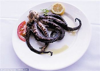 为了口腹之欲 吃掉罕见生物