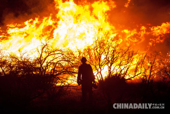 美国加州森林大火蔓延 2800人撤离家园[1]- 中国日报网