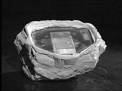 英报评出十大现实间谍工具(组图)