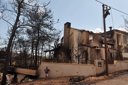 ��ͼ��ϣ��ɭ�ִ������õ�����