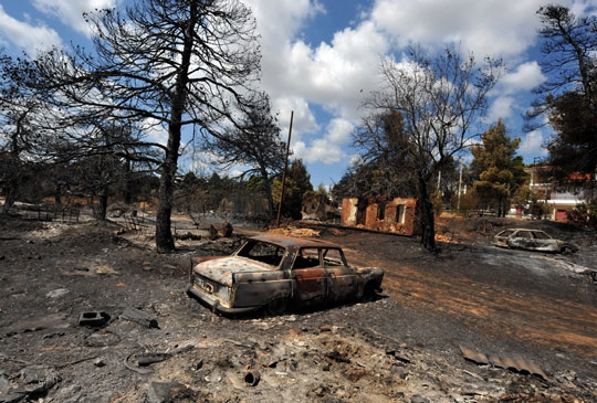 ��ͼ��ϣ��ɭ�ִ������õ�����