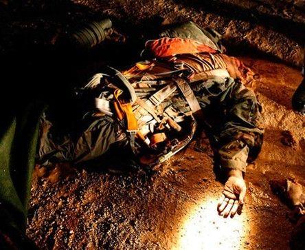卡扎菲战机系防空导弹击落 飞行员被斩首(图)_新闻中心_新浪网