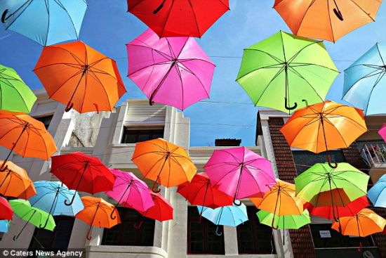 葡萄牙艺术家用雨伞为街道增添梦幻色彩(图)