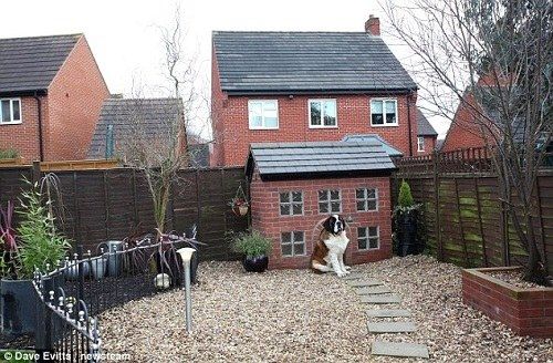 英国男子复制自家公寓造型为爱犬建犬舍(图)|犬