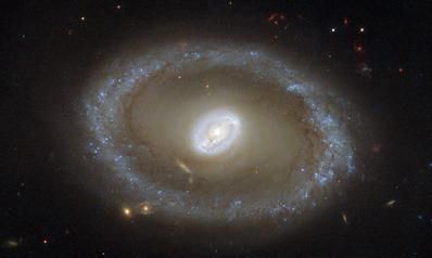 海蛇座ngc3081星系金戒指恒星:8600万光年,ii型赛弗特