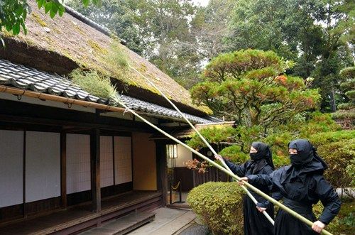 新春将至 日本伊贺"女忍者"年末扫除忙(图)