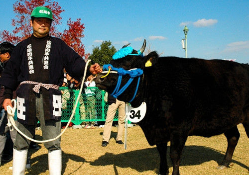 牛肉排行榜_全球牛肉出口排名,印度高居第三位,他们不是把牛当成神吗?
