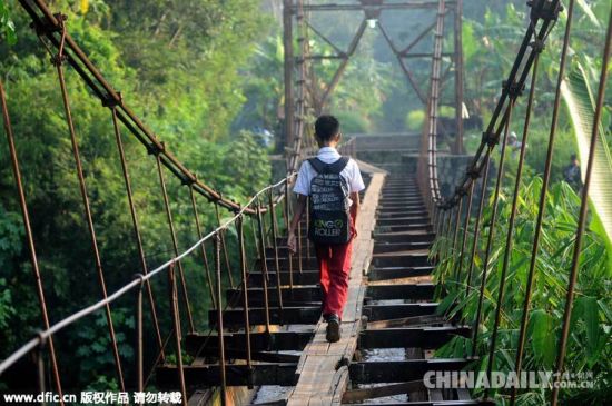 印尼儿童冒生命危险过“独木桥”上学(组图)[1]- 中国日报网_新浪新闻
