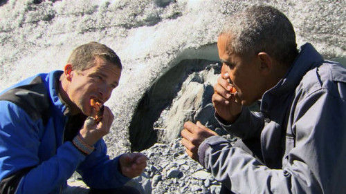 奥巴马和贝尔·格瑞斯在吃鲑鱼肉。马荒