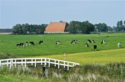 探访荷兰奶业:质量挂钩信贷运奶车也负责监管