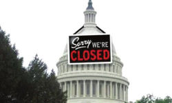 ��������ͣ�� �й��ο�����