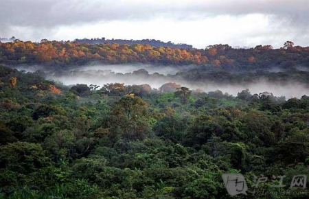 ��Ӱ��ʵ��ȡ����