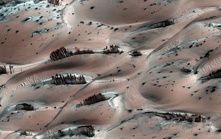 美国国家航空航天局从火星上拍到“树木”