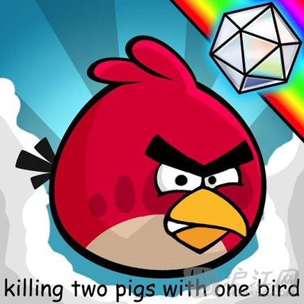killing two pigs with one bird