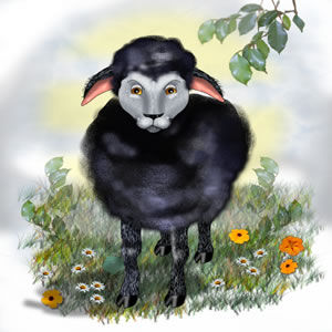 Baa Baa black sheep, have you any wool?