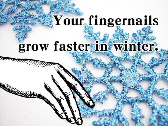 Your fingernails grow faster in winter. 