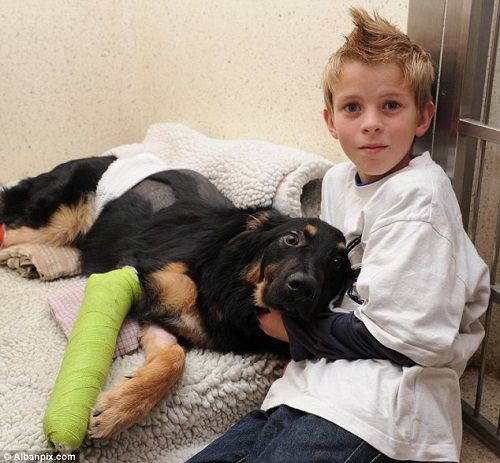 8���´�ĵ¹�����Ȯ���ǡ��������Լ���С����