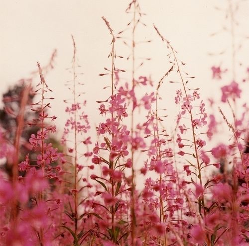 �����������ѽ���������