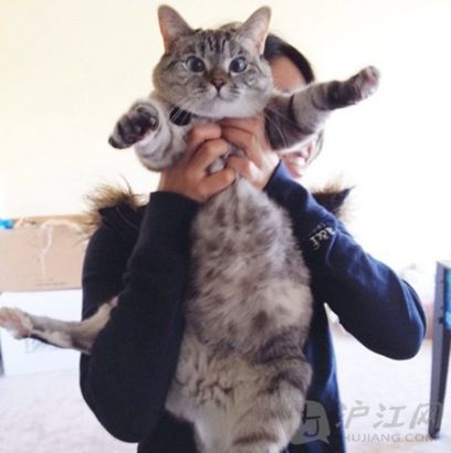 I told you to put me down!! And now you are holding me like this??!!! ҷˣ㵨ôű