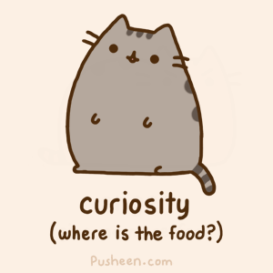 curiosity 