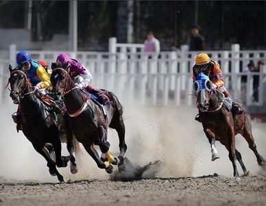 2. Horse racing 