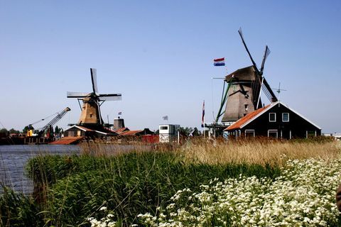 荷兰留学无需荷兰语 学生签证畅通申根国