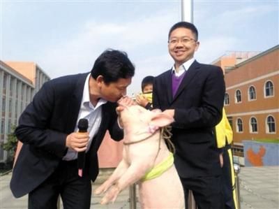4月28日,湖北咸宁实验小学升旗仪式上,副校长洪耀明为了兑现承诺,当众亲吻猪。 4月28日,湖北咸宁实验小学升旗仪式上,副校长洪耀明为了兑现承诺,当众亲吻猪。