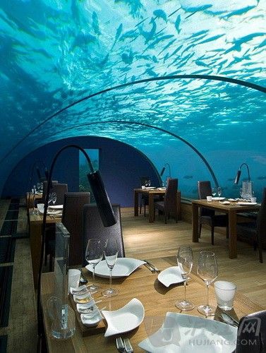 全球最美餐厅:马尔代夫梦幻海底餐厅(双语)