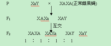 2014年四川卷生物答案解析