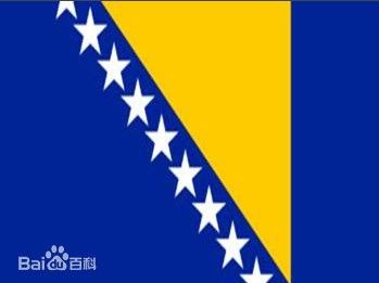 Bosnia and Herzegovina  Dragons in heart, dragons on the field! Уڳϣ