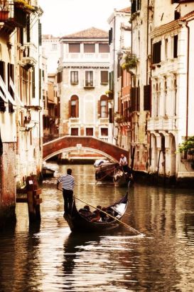 Venice ˹