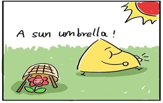 sun umbrella̫ɡ