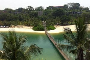 女汉子神吐槽：在新加坡从全奖读到博士后