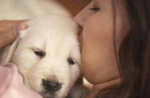 英国大学推出“狗狗屋”缓解学生考试压力