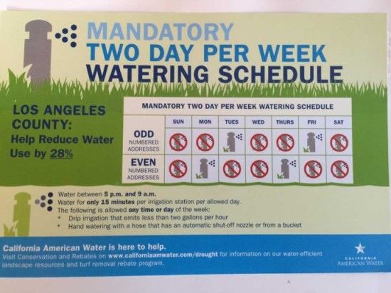 (我们洛杉矶郡要节水28%。国内是按单双号限行，我们是按门牌的单双号，限制每周浇水两次。这是自来水公司发的浇水时间表。)
