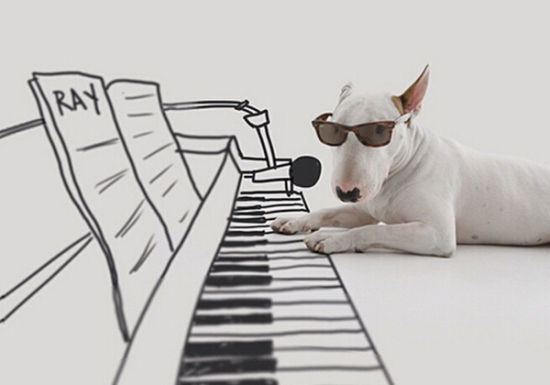 爆笑英语小笑话:会弹钢琴的狗(图)